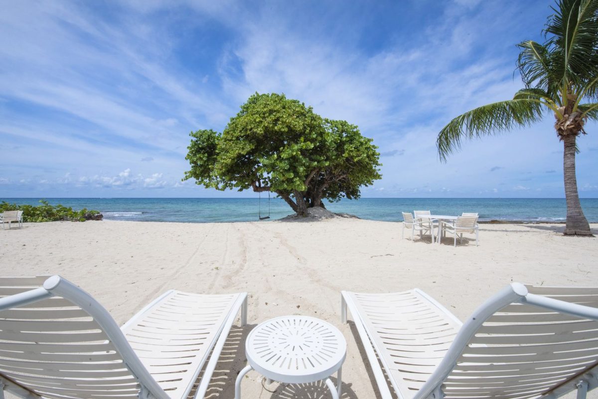 grand cayman beach with tree swing
